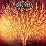 Van der Graaf Generator - Still Life